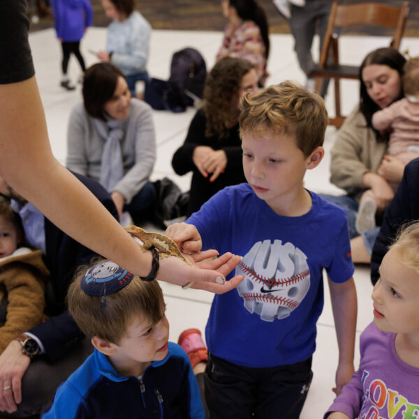 2025-10-21_TE_WildAnimalTotShabbat-87